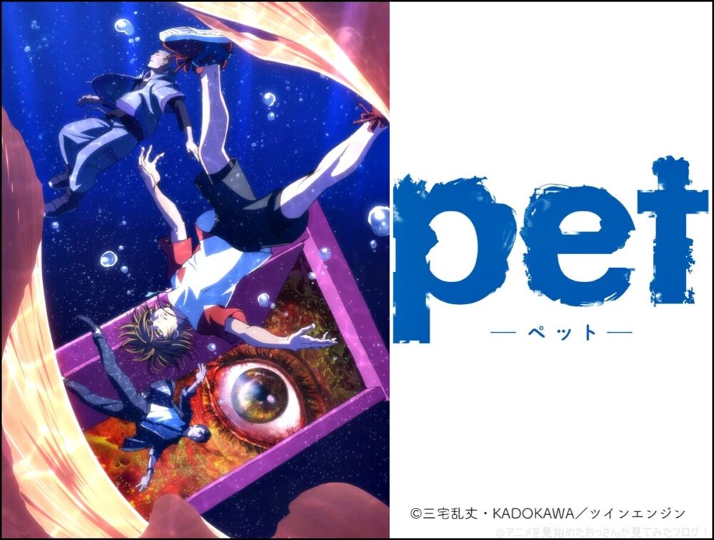 【面白い】「pet(ペット)」をアニメを見始めたおっさんが見てみた！【評価･レビュー･感想★★★★☆】#pet_anime #pet 【オススメ】面白い･良いアニメを探している人必見！高評価のオススメのアニメ人気記事特集！ #アニメ
